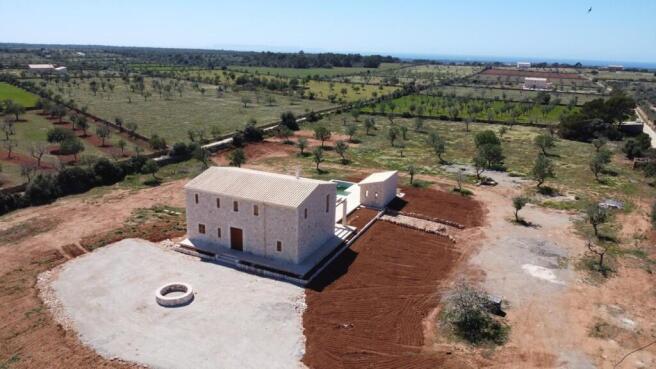 Aerial (1)