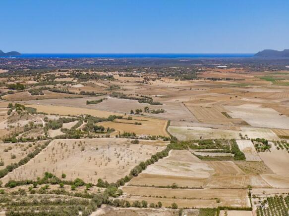 Aerial (3)