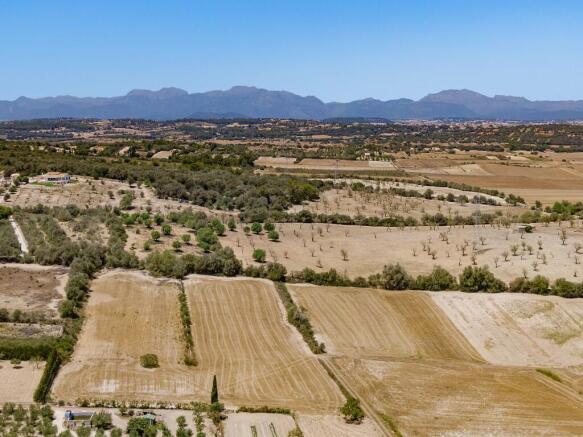 Aerial (1)