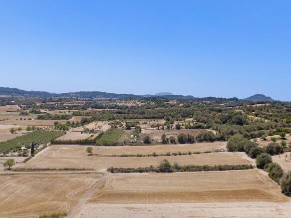 Aerial (9)