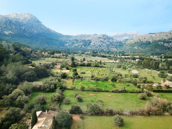 aerial (10)