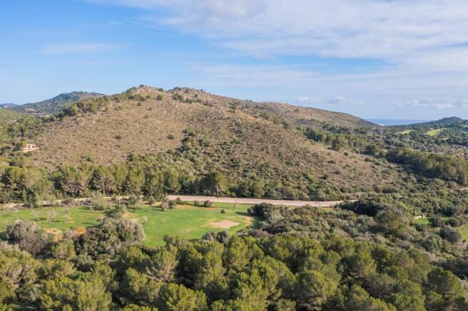 WhatsApp Image 2025-