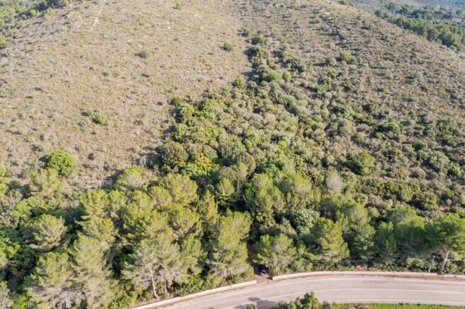 WhatsApp Image 2025-