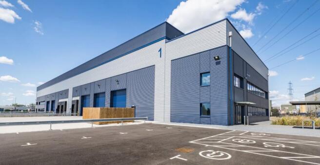 Avocet - Image 1.jpeg