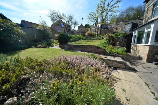 Garden looking up.jpg