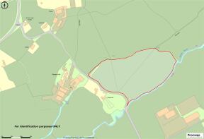 Promap-3332379-3429185-750-0.jpg