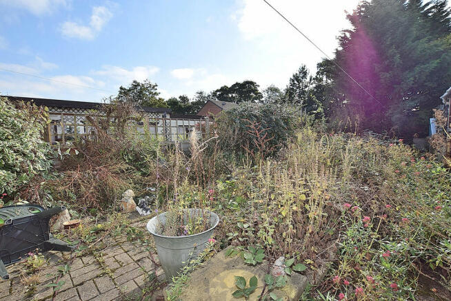 garden 2_01