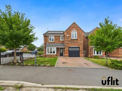 Oak Dene Way, Waverley, Rotherham