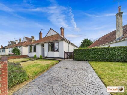 Badshah Avenue, Ipswich