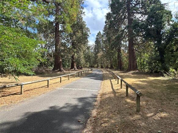 Driveway
