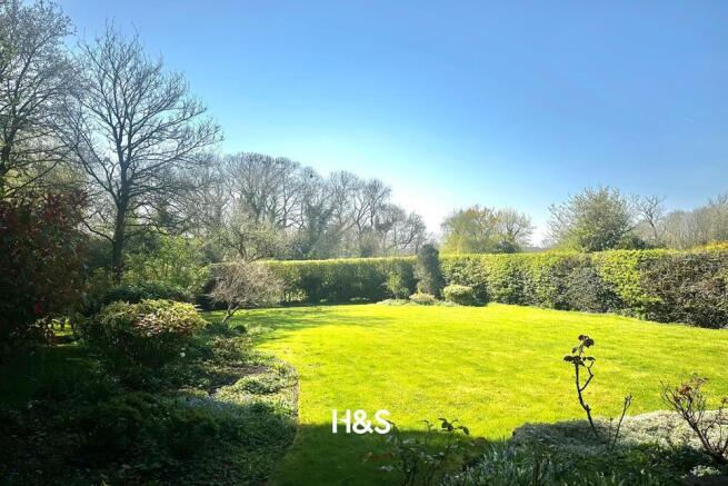 garden.jpg
