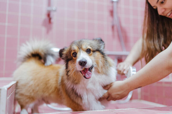 GQ Tillermans Lifestyle (7)