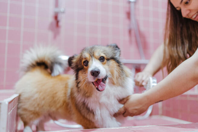 GQ Tillermans Lifestyle (7)