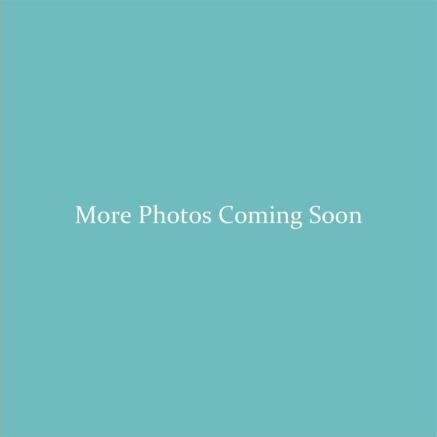 More Photos Coming Soon-page-001 - Copy.jpg