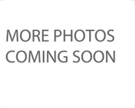 more phots coming soon.jpg