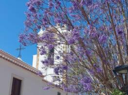 Photo of Boliqueime, Algarve