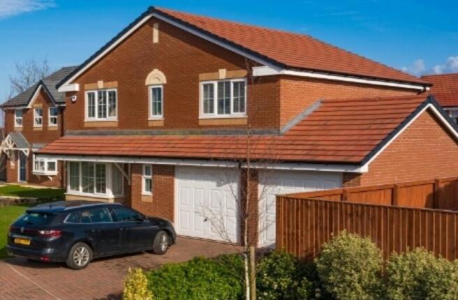 Seaton - Redwood Gar