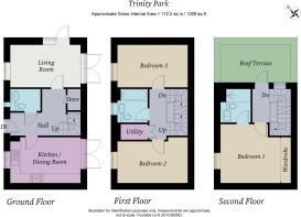 Final_1236058_Tri...