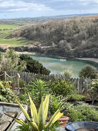 View from garden