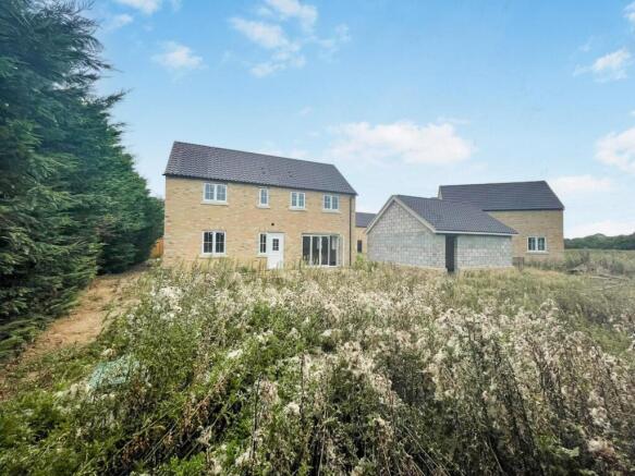 tlc_3c31abd8-5d0b-48ca-966b-a92ca704e5cb_f92b0bb.j