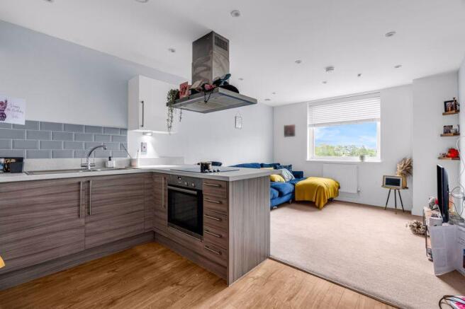 Open Plan Kitchen/Living Area