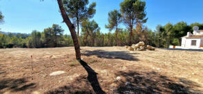 Photo of Valencia, Alicante, Teulada