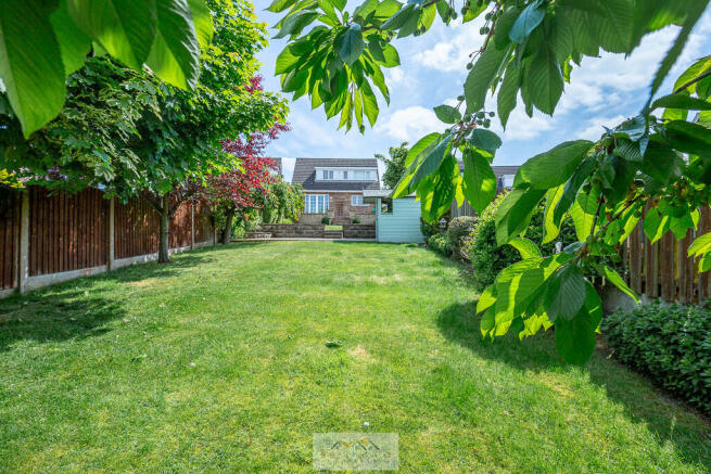 Back garden 1.8