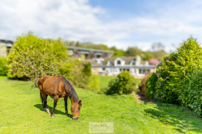 Filed at back of ...