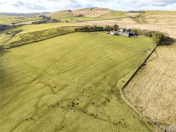 Causey View