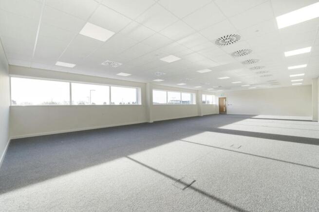 FF Office.jpg