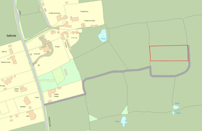 Alder