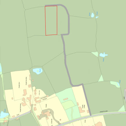 Redwood Outline