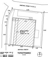 Survey diagram