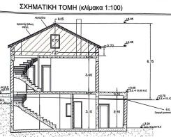 Cross section