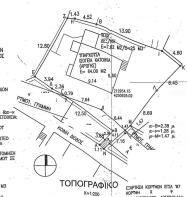 Survey diagram