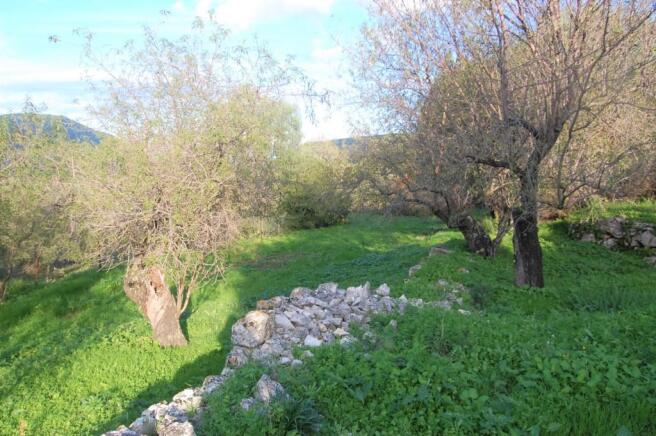 Landscape & terrain