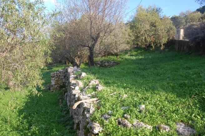 Landscape & terrain