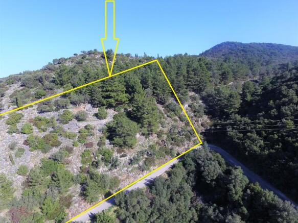 Aerial view & border