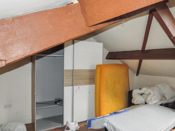 20251014053344 IMG 6050 Ir8Yj T202510151857.jpg