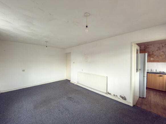 IMG 7128 T202511051328.jpg