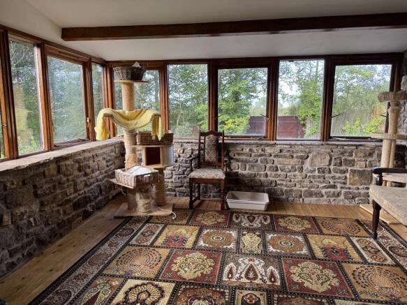 IMG 8475 T202509190920.jpeg