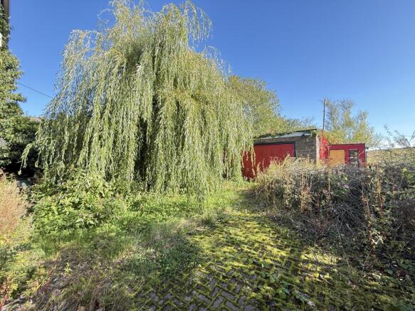 IMG 1459 T202509261232.jpg