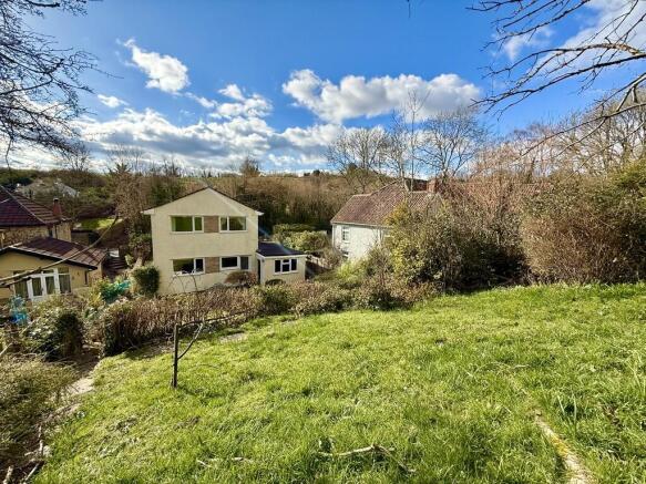 Back Garden