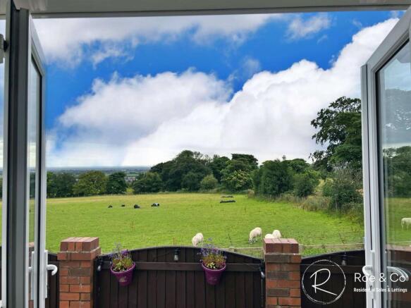 Kitchen View