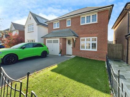 Lambert Meadow, Tyldesley