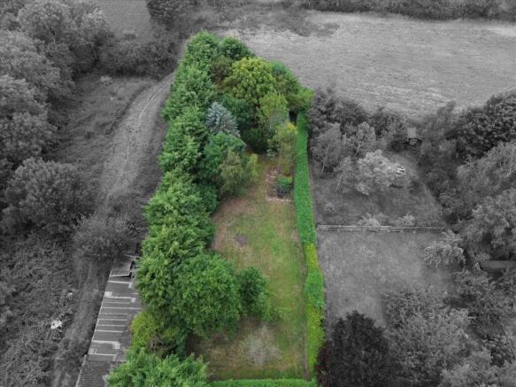 Garden Area: