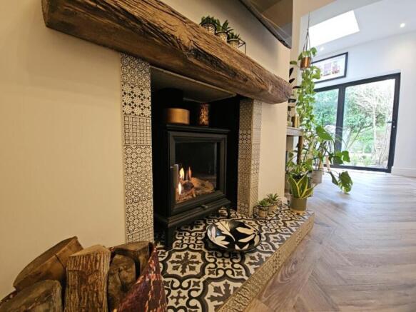Feature Fire