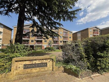 Spruce Park, Cumberland Road