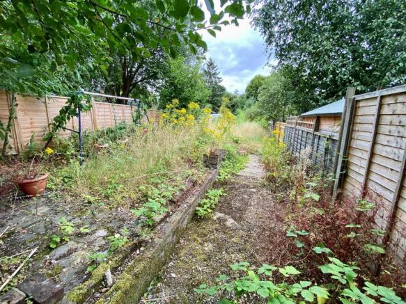 garden 1.jpg