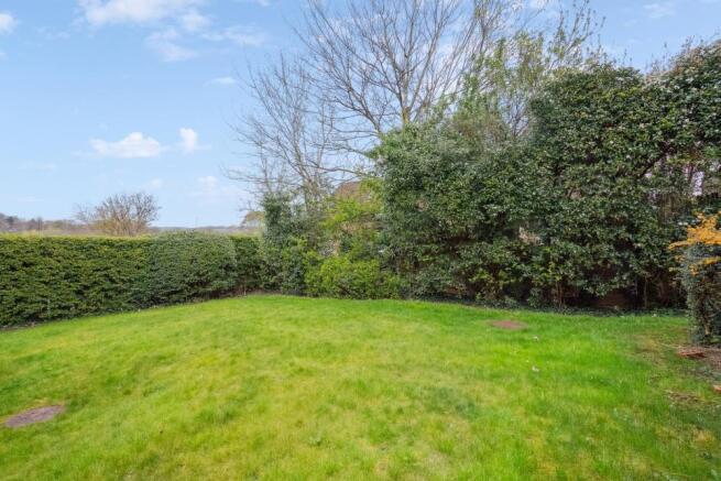 DSC00853 - 800px.jpg